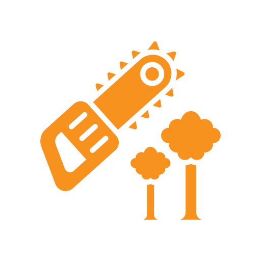 icon3