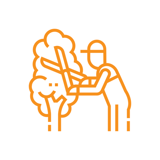 icon4
